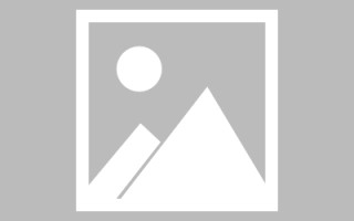 苍南信息系统网页设计（信息系统网页设计主要包括）